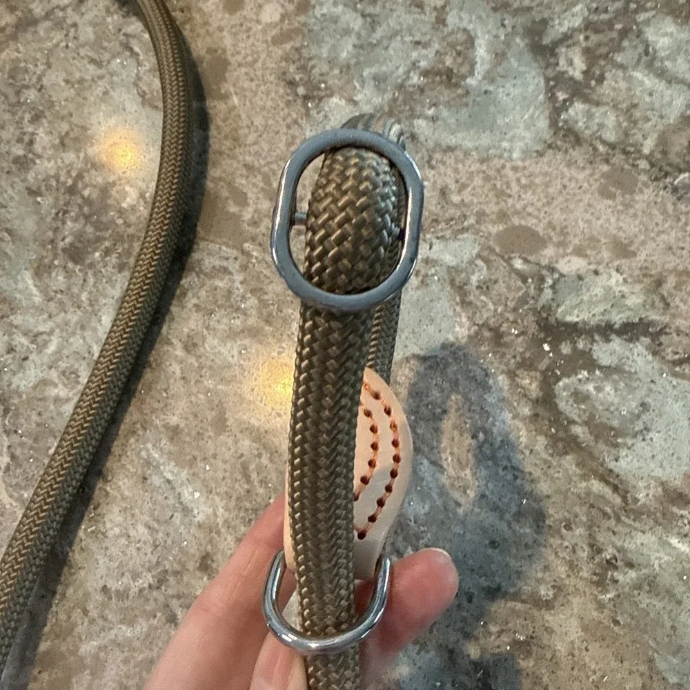 5' Nylon Leather Slip Lead Dog Leash Taupe‎ Dog Training Walking Exercise